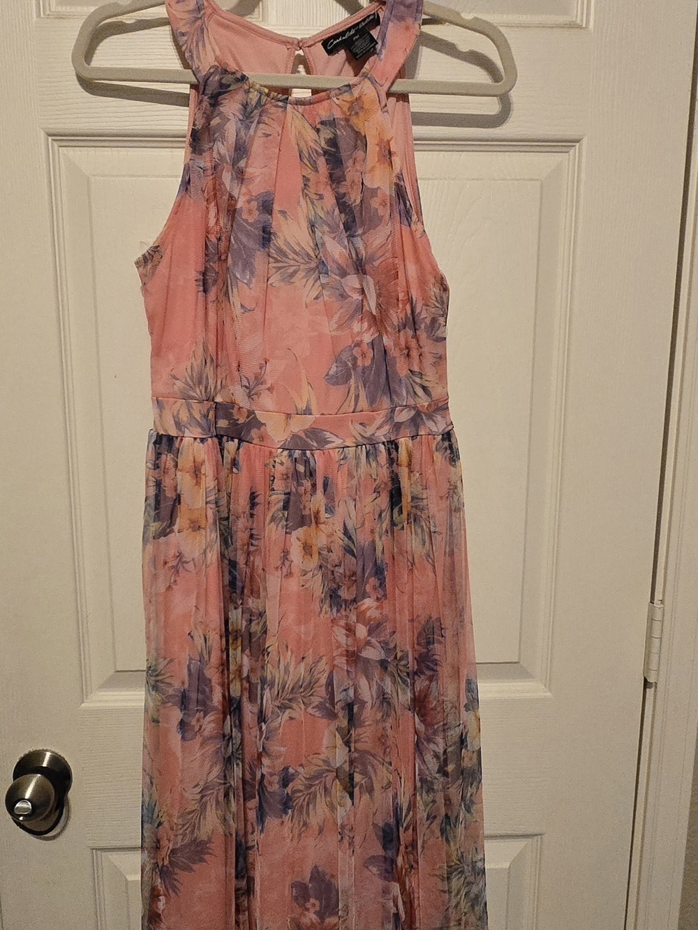 Floral Pink Maxi Dress by Express